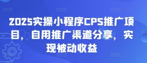 2025实操小程序CPS推广项目，自用推广渠道分享，实现被动收益-金易项目网