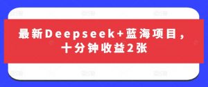 最新Deepseek+蓝海项目，十分钟收益2张-金易项目网