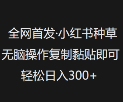 全网首发，小红书种草无脑操作，复制黏贴即可，轻松日入3张-金易项目网