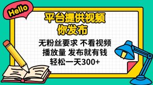 平台提供视频 你发布 无粉丝要求 不看视频播放量 发布就有钱 轻松一天300+-金易项目网