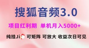 搜狐音频挂ji3.0.可矩阵可放大，独家技术，稳定月入5000+【揭秘】-金易项目网