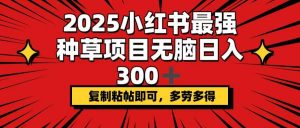 2025小红书最强种草项目，无脑日入300+，复制粘帖即可，多劳多得-金易项目网