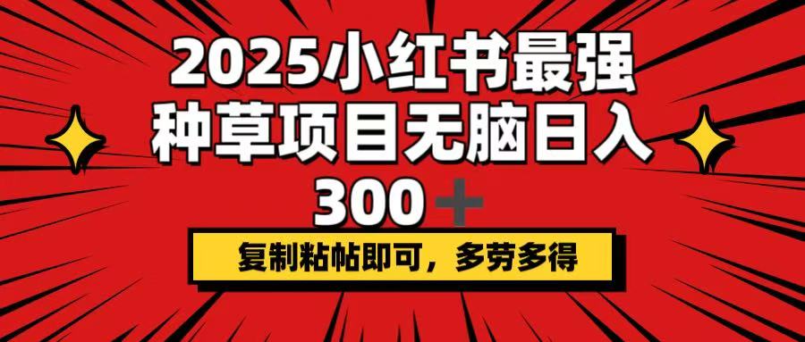 2025小红书最强种草项目，无脑日入300+，复制粘帖即可，多劳多得-金易项目网