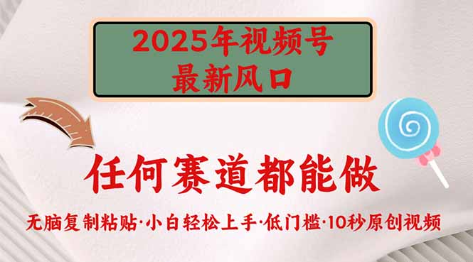 2025年视频号新风口，低门槛只需要无脑执行-金易项目网