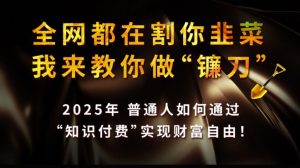 全网都在割你韭菜，我来教你做镰刀,2025普通人如何通过知识付费，实现财F自由【揭秘】-金易项目网