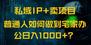 私域IP+卖项目，普通人如何做到宅家办公实现日入1000+-金易项目网
