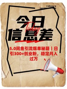5.0闲鱼引流爆单秘籍，日引300+创业粉，稳定月入过W-金易项目网