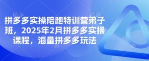 拼多多实操陪跑特训营弟子班，2025年2月拼多多实操课程，海量拼多多玩法-金易项目网
