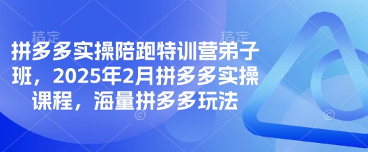 拼多多实操陪跑特训营弟子班，2025年2月拼多多实操课程，海量拼多多玩法-金易项目网