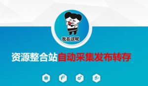 资源整合站自动采集发布转存，解放双手-金易项目网