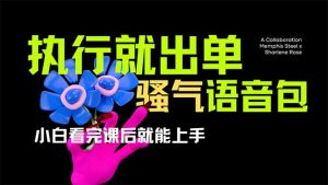 爆火全网的开车导航骚气语音包,只要执行就出单，小白看完课程就能实操...-金易项目网