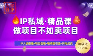 2025年“IP私域·密训精品课”，日赚3000+小白避坑年赚百万，暴力引流...-金易项目网