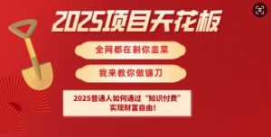 2025项目天花板普通人如何通过知识付费，实现财F自由【揭秘】-金易项目网