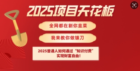 2025项目天花板普通人如何通过知识付费，实现财F自由【揭秘】-金易项目网