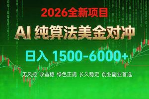 2026 全新美金对冲项目，不套平台赠金，不封号，纯算法对冲，日入 1500-6000+-金易项目网