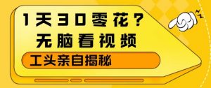 1天30零花？无脑看视频，大佬亲自揭秘-金易项目网