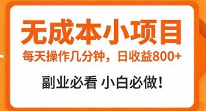 无成本小项目 每天操作几分钟，真实日收益800+ 副业必看 小白必做！-金易项目网