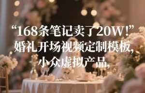 168条笔记卖了20W！婚礼开场视频定制模板，小众虚拟产品-金易项目网