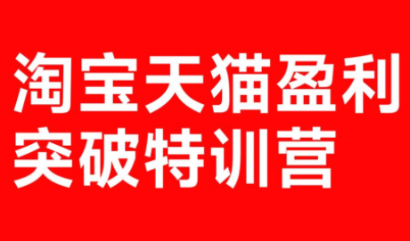 玺承·淘宝天猫盈利突破特训营(25年12月线下课)【音频+字幕】-金易项目网