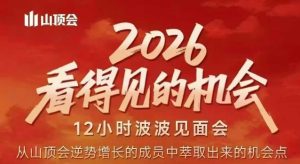 2026看得见的机会，剖析十几个实战案例，可直接抄作业，再优化迭代，内容超全，干货满满-金易项目网