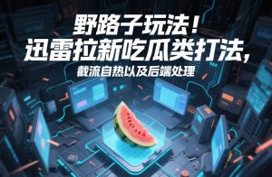 野路子玩法！迅雷拉新吃瓜类打法，截流自热以及后端处理-金易项目网