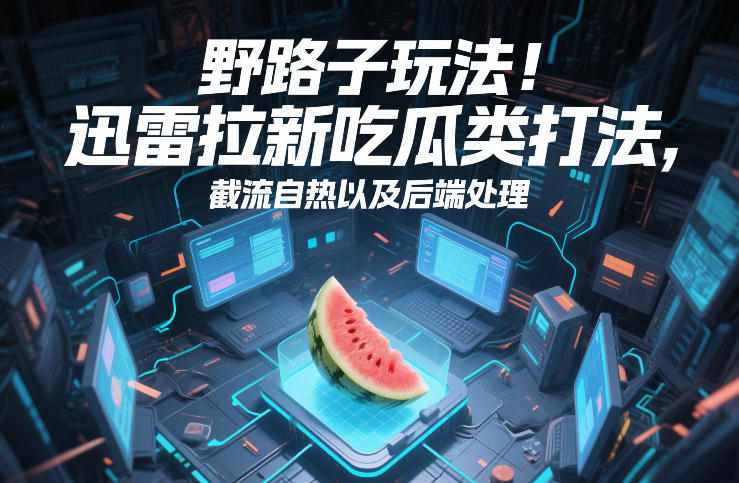 野路子玩法！迅雷拉新吃瓜类打法，截流自热以及后端处理-金易项目网