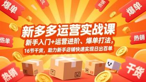 拼多多运营实战课，新手入门+运营进阶、爆单打法，16节干货，助力新手店铺快速实现日出百单-金易项目网