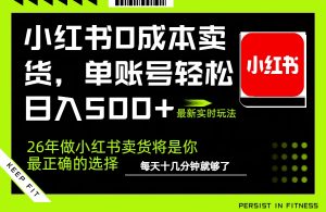 小红书0成本AI卖货，单账号轻松日入500+，完全托管AI，可矩阵放大-金易项目网