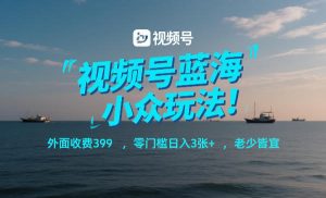 视频号蓝海小众玩法！外面收费399，零门槛日入3张+，老少皆宜-金易项目网