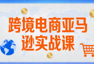 丝丝老师·跨境电商亚马逊实战课(更新2月)-金易项目网