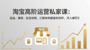淘宝高阶运营私家课：选品、爆款、全店动销，三模块构建盈利闭环，月入破5万(更新26年2月-金易项目网