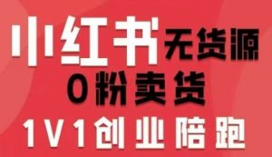 小红书无货源0粉电商课，开店准备、选品策略、笔记撰写、视频剪辑、数据分析、账号打造、资料文档(更新26年2月)-金易项目网