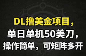DL撸美金项目，单日单机50美刀，操作简单，可矩阵多开-金易项目网