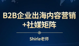 shirle老师·B2B企业出海内容营销+社媒矩阵-金易项目网