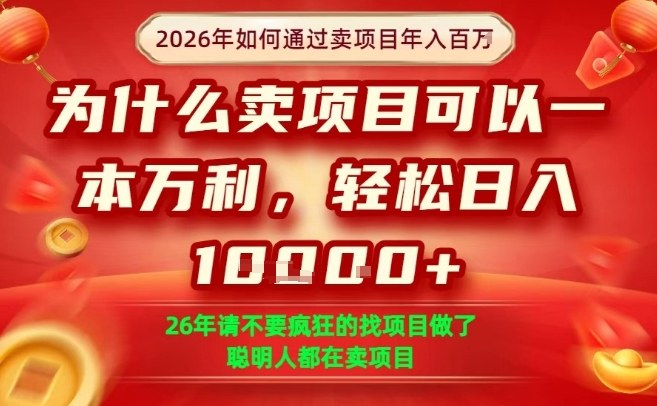 一单净利润1K+，26年想年入100个W，死磕卖项目就够了【揭秘】-金易项目网