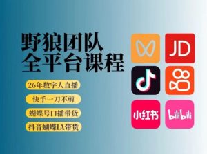 野狼团队2026新版全平台短视频带货教学，打开流量突破口，开始Ai带货(更新26年3月)-金易项目网