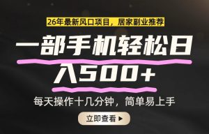 26年居家副业首选，一部手机轻松日入500+，长期稳定可做-金易项目网