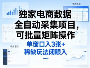 独家电商数据全自动采集项目，可批量矩阵操作，单窗口日入3张+，稀缺玩法闭眼入【揭秘】-金易项目网