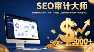 SEO审计大师：教你精通网站分析，修复SEO问题，为有效的审核收费5000美元以上！-金易项目网