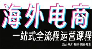 Demo老师·东南亚5国TikTok Shop运营课-金易项目网