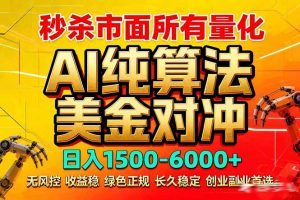 2026全网首发黑马项目，AI美金算法对冲，日入2000-6000+，稳定长效0风险，彻底告别996死工资-金易项目网