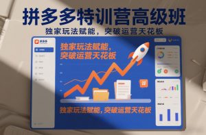 拼多多特训营高阶班，独家玩法赋能，突破运营天花板(更新26年3月19日)-金易项目网