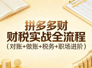 拼多多财税实战全流程(对账+做账+税务+职场进阶)-金易项目网