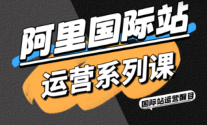 醒目老师·阿里国际站运营系列课(更新3月)-金易项目网