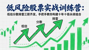 低风险股票实战训练营：低估分散排雷三箭齐发，手把手教你构建十年十倍永续组合-金易项目网