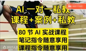 AI指令实战课，课程+案例，80节AI实战课程，笔记指令随意享用，课程指令随意享用(更新26年3月)-金易项目网