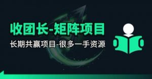 【团长合作】视频矩阵项目_招发手矩阵+剪辑师，共赢项目【揭秘】-金易项目网