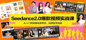 Seedance2.0爆款视频实战课：从入门到精通电商带货，品牌宣传短剧-金易项目网