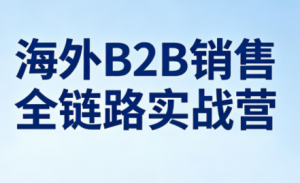 雨哥·海外B2B销售全链路实战营-金易项目网