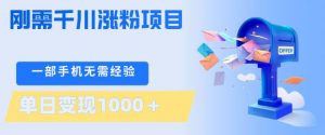 刚需千川涨粉项目，一部手机无需技术，单日变现1k+，当天做当天见收益【揭秘】-金易项目网